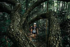 BIB: 
                            <button type="button" onclick="openModal(25663735)" class="btn btn-primary btn-sm float-right btn-popup" data-toggle="modal" data-target=".modal-high-quality">
                        <i class="fas fa-shopping-cart"></i> Add to Cart
                    </button>
                                            <button type="button" onclick="isThisMe(25663735, true)" class="btn btn-success btn-sm float-right btn-popup btn-isme hidden" data-toggle="tooltip" data-placement="bottom" title="นี่คือรูปของคุณใช่ไหม คลิกที่นี่เพื่อเอาเข้าอัลบั้ม">
                        <i class="fas fa-plus"></i> Add to album
                    </button>
                    <button type="button" onclick="isThisMe(25663735, false)" class="btn btn-warning btn-sm float-right btn-popup btn-isnotme hidden">
                        <i class="fas fa-ban"></i> Remove from album
                    </button>